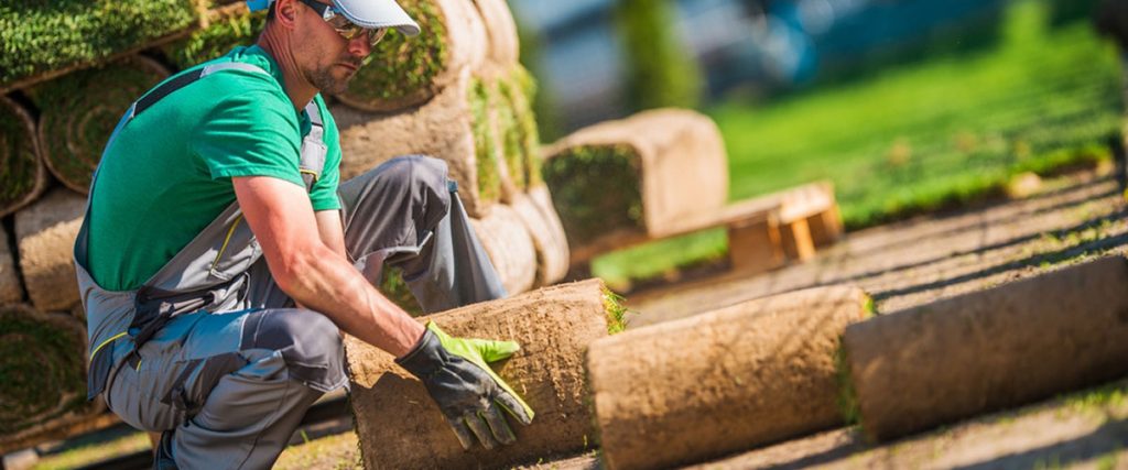 sod installation in Boston